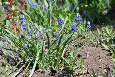 Similar image 21225725