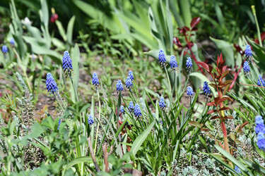 Similar image 21225727