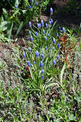 Similar image 21225728