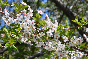 Similar image 21225730