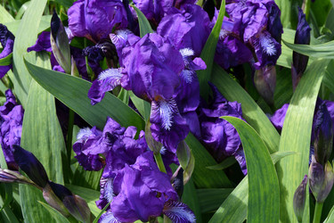 Similar image 21225731