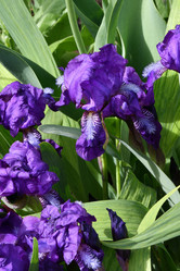 Similar image 21225733