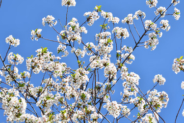 Similar image 21225734