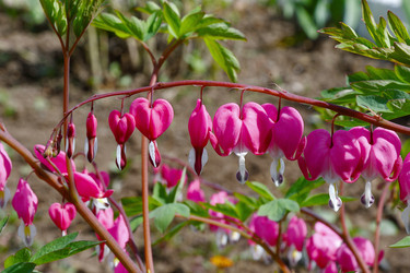 Similar image 21225735