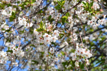 Similar image 21225737