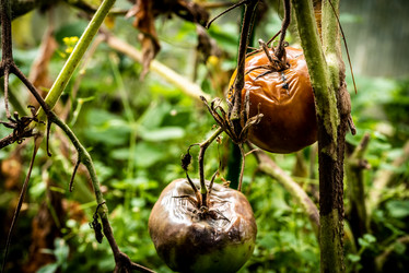 Similar image 21211522