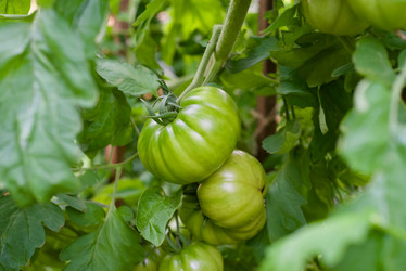 Similar image 21211524