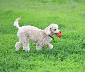 Similar image 21225741