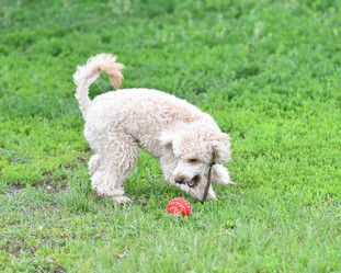 Similar image 21234837