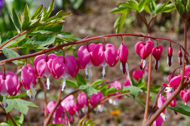 Similar image 21234883