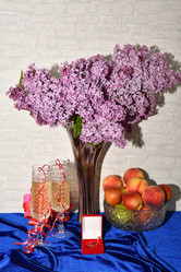 Similar image 21246904