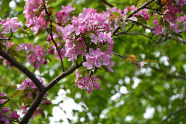 Similar image 21246918