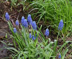 Similar image 21246920