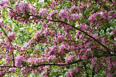 Similar image 21246921