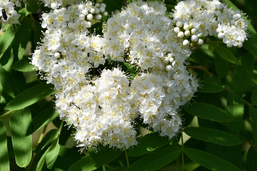 Similar image 21246925