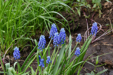 Similar image 21246926