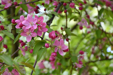 Similar image 21246929