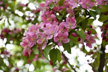 Similar image 21246954