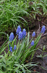 Similar image 21246958