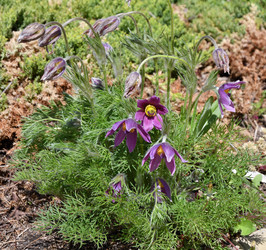 Similar image 21246959