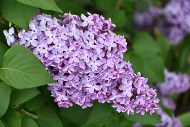 Similar image 21246960