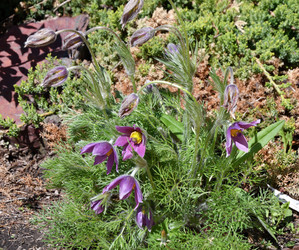 Similar image 21247128