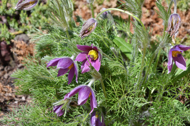 Similar image 21247130