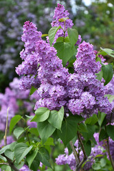 Similar image 21247132