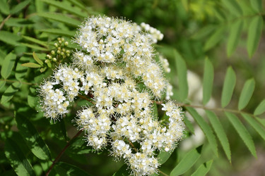 Similar image 21247136