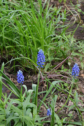 Similar image 21247137