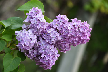 Similar image 21247140