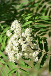 Similar image 21247219