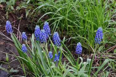 Similar image 21247220