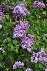 Similar image 21247223