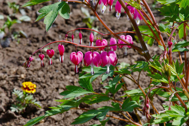 Similar image 21247229