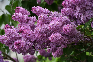 Similar image 21247230