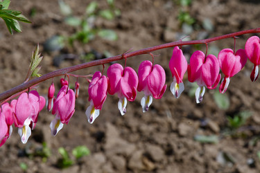 Similar image 21247231