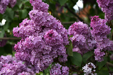 Similar image 21247232