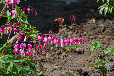 Similar image 21247233