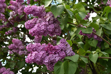 Similar image 21247234