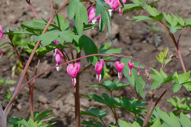 Similar image 21247235