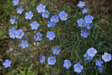 Similar image 21247236