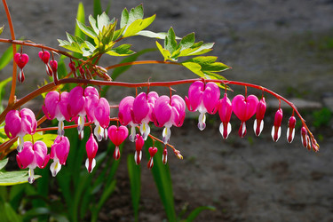 Similar image 21247237