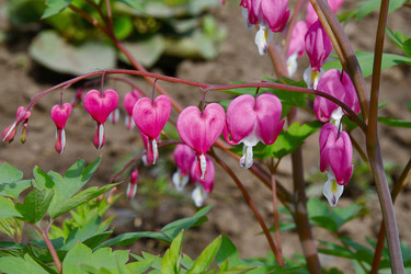 Similar image 21247239