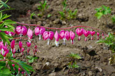 Similar image 21247240