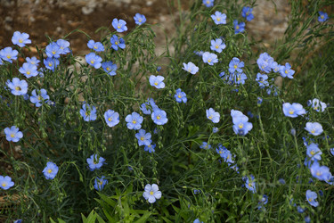 Similar image 21247241