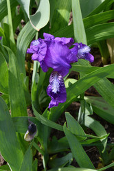 Similar image 21247279