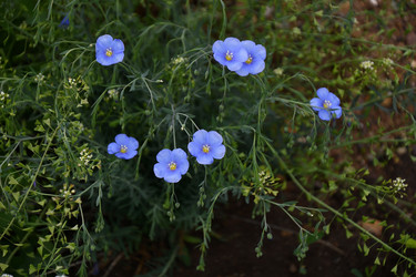 Similar image 21220742