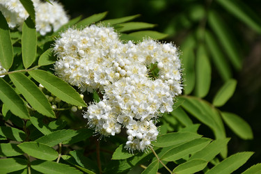 Similar image 21220743