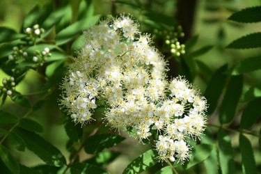 Similar image 21220744